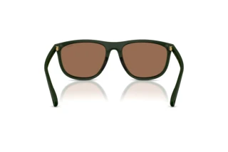 Vista posteriore Polo PH4231U (559673)