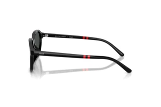 Vista laterale Polo PH4234U (500187)