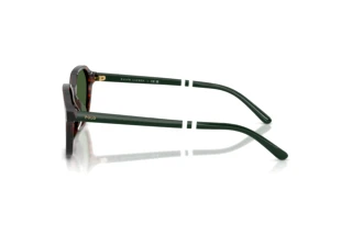 Vista laterale Polo PH4234U (631571)