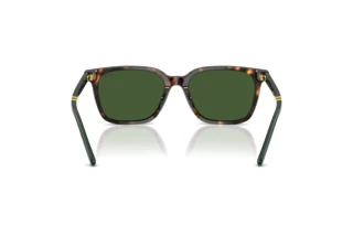 Vista posteriore Polo PH4235U (500371)