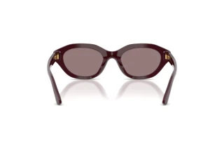 Vista posteriore Polo PH4237U (63547N)