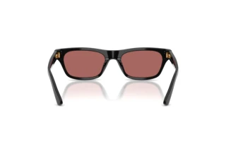 Vista posteriore Polo PH4238U (500169)