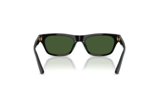 Vista posteriore Polo PH4238U (500171)