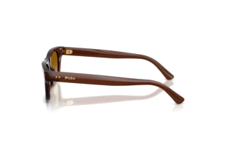 Vista laterale Polo PH4238U (63532L)