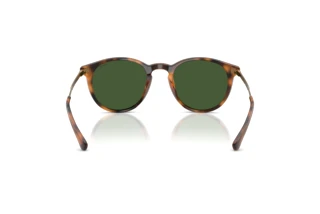 Vista posteriore Polo PH4239U (500371)