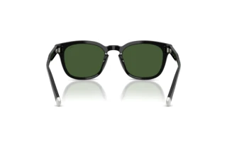 Vista posteriore Polo PH4242U (500171)