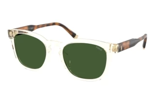 Vista frontale Polo PH4242U (635771)