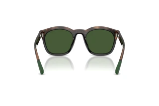 Vista posteriore Polo PH4243U (607071)