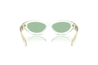 Vista posteriore Prada PR 26ZS (14R20E)