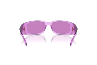 Vista posteriore Prada PR A14S (13R30G)