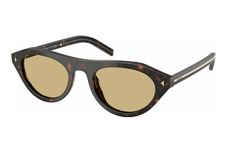 Prada PR B15S 17N70R Light BrownRoot Tortoise