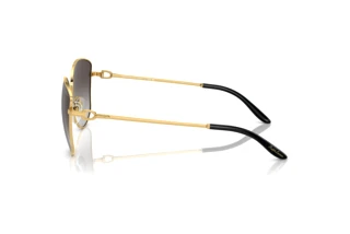 Vista laterale Ralph Lauren THE VIVIENNE (RL7079 - 90048G)