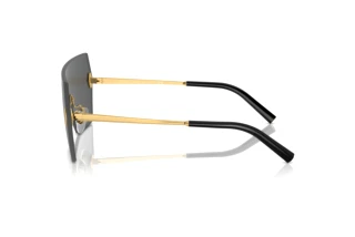 Vista laterale Ralph Lauren THE HARPER (RL7085 - 900487)