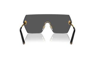 Vista posteriore Ralph Lauren THE HARPER (RL7085 - 900487)