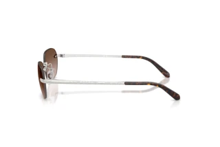 Vista laterale Ralph Lauren RL7089 (900113)