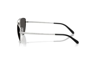 Vista laterale Ralph Lauren RL7090 (900187)