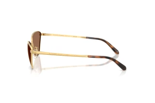 Vista laterale Ralph Lauren RL7093 (900473)