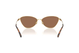 Vista posteriore Ralph Lauren RL7093 (900473)