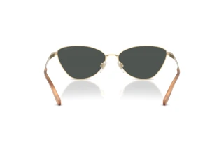 Vista posteriore Ralph Lauren RL7093 (911687)