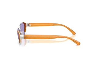 Vista laterale Ralph Lauren RL7094 (90011A)