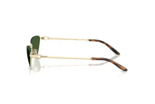 Vista laterale Ralph Lauren RL7095 (911671)