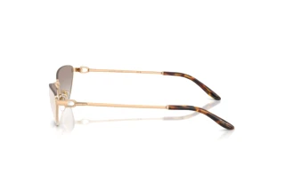 Vista laterale Ralph Lauren RL7095 (94876E)