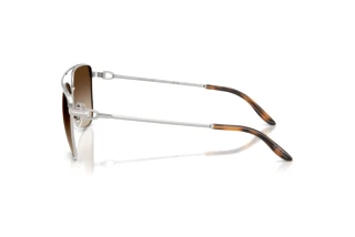 Vista laterale Ralph Lauren RL7096 (900113)