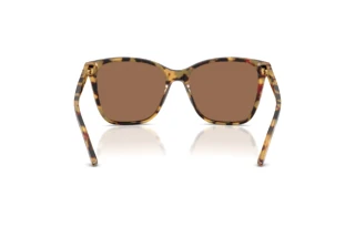 Vista posteriore Ralph Lauren RL8201 (500473)