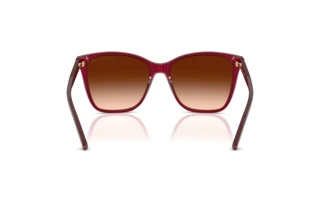 Vista posteriore Ralph Lauren RL8201 (591274)