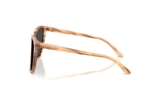Vista laterale Ralph Lauren RL8201 (617987)