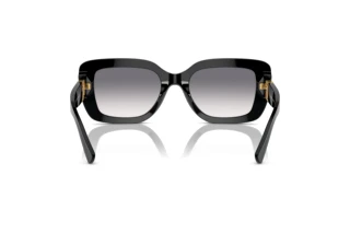 Vista posteriore Ralph Lauren THE NIKKI (RL8217U - 500179)