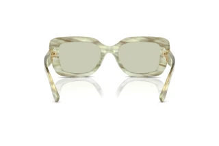 Vista posteriore Ralph Lauren THE NIKKI (RL8217U - 6109/2)