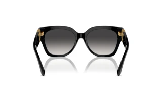 Vista posteriore Ralph Lauren THE OVERSZED RICKY (RL8221 - 50018G)