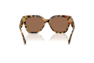 Vista posteriore Ralph Lauren THE OVERSZED RICKY (RL8221 - 500473)