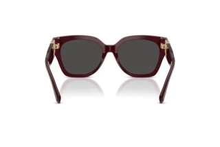 Vista posteriore Ralph Lauren THE OVERSZED RICKY (RL8221 - 508387)