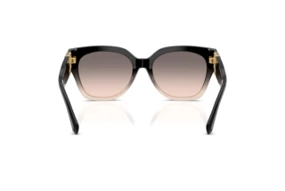 Vista posteriore Ralph Lauren THE OVERSZED RICKY (RL8221 - 60223B)