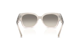 Vista posteriore Ralph Lauren THE OVERSZED RICKY (RL8221 - 611208)