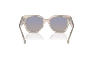 Vista posteriore Ralph Lauren THE OVERSZED RICKY (RL8221 - 61774L)