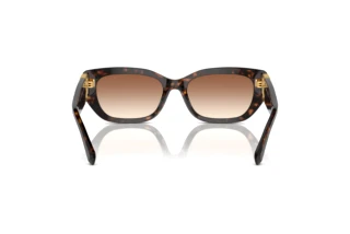 Vista posteriore Ralph Lauren THE BRIDGET (RL8222 - 500313)