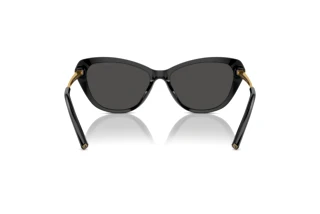 Vista posteriore Ralph Lauren THE ELLA (RL8224U - 500187)