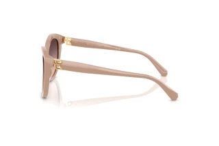 Vista laterale Ralph Lauren RL8225U (6218U8)