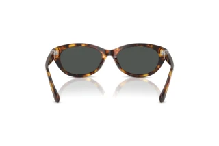 Vista posteriore Ralph Lauren RL8226U (513487)