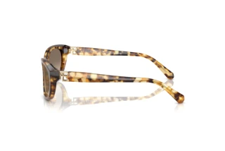 Vista laterale Ralph Lauren RL8226U (60566Y)