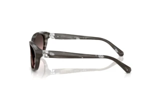 Vista laterale Ralph Lauren RL8226U (617546)