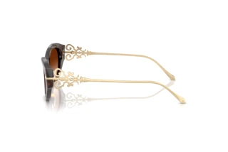 Vista laterale Ralph Lauren RL8227U (500374)