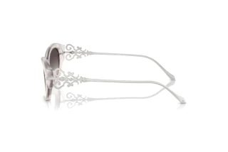 Vista laterale Ralph Lauren RL8227U (611208)