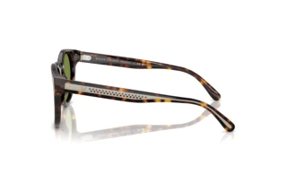 Vista laterale Ralph Lauren RL8229U (50034E)