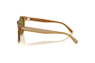 Vista laterale Ralph Lauren RL8229U (52754E)