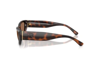 Vista laterale Ralph Lauren RL8231U (624173)