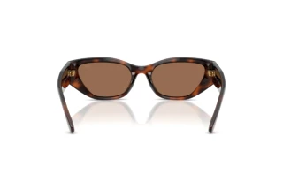 Vista posteriore Ralph Lauren RL8231U (624173)